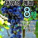 2024년 8월4일 8월의 첫일요일 출석부 이미지