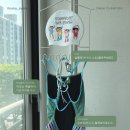 오렌지스포츠센터 | 스포원 스포츠센터 접영 특강 후기 | 수영 8년 차가 다시 배운 접영 발차기