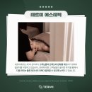 테르미에스테틱 대전도안점