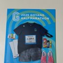 [도로]영통 열병합발전소 사거리 | 2025 JTBC 고양특례시 하프마라톤, 고하마 기념품 언박싱 후기, 코스소개