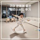 돌피노 | 유아 코어운동에 좋은 돌피노 밸런스보드 내돈내산 후기