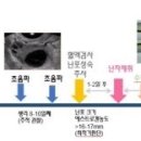 자연아부탁해 이미지