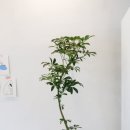 송정로L 이미지