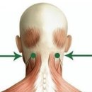 송탄한의원 이미지