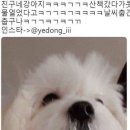 구월팔일 이미지