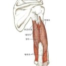 백석PT 모티플짐 이미지