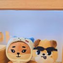 해밀2교 회전교차로 | 주차 편한 샤브마니아 이천갈산점 평일점심특선 후기
