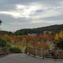 광교산한의원 이미지
