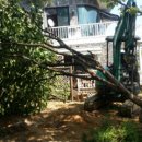 대조-008 이미지