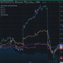한국과 주변국 etf 비교 챠트( 그간 AI 반도체로 상승이 컷던 국가가 낙폭도 크다) 이미지