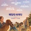 어게인생 이미지