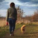 퍼스트동물병원 이미지