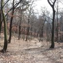 이곡중학교 이미지