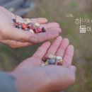 토종축산2 이미지