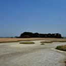 공룡알화석지방문자센터 이미지