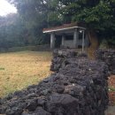 세화1리 이미지