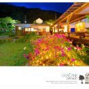 쌀라네 집 이미지