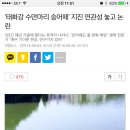 태화강 수만마리 숭어떼' 지진 연관성 놓고 논란 이미지