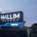 스위트 세탁소 이미지