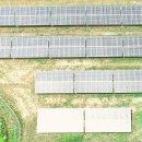 써니 발전소 이미지