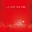 Tangerine Dream - In Search of Hades: The Virgin Recordings 1973-1979 (2019) 이미지