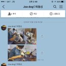 조아독 이미지