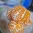 경기도 수원시 영통구 매여울로61번길 이미지