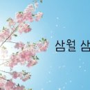 삼월 이미지
