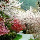 상동도서관 이미지