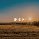 메디풀 이미지