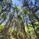 돗오름 주차장 이미지