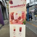 더벤티답십리 | 더벤티 말차유자에이드 메뉴 추천