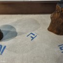 시고르까사 이미지