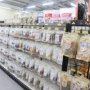 펫넘버원 이미지