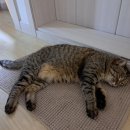 여주-0202 이미지