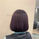 헤어블랑 이미지