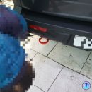 제일카 이미지