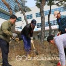 식목일_대구 이미지