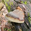 구광식당 이미지