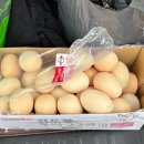 학천변길 이미지