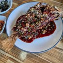 민경애견 이미지