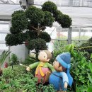 서문식물원