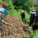 자명축사 이미지