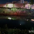 김포아라대교