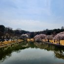 바른자세의 과학연구원 | KIST 인턴 및 학생연구원 서류 및 면접합격 후기 (키스트, 한국과학기술연구원)