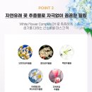 화이트 버블 이미지