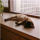 백석역(중) 이미지