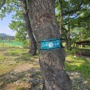 수지면 갈촌마을 이미지