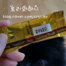 (주)포켄스 이미지