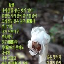형제염소탕 - 북구 팔거천동로4길 5 | 형제염소탕